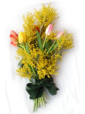mimosa_tulipani_web.jpg